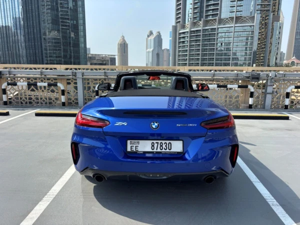  Grey BMW Z4 30I Photo 