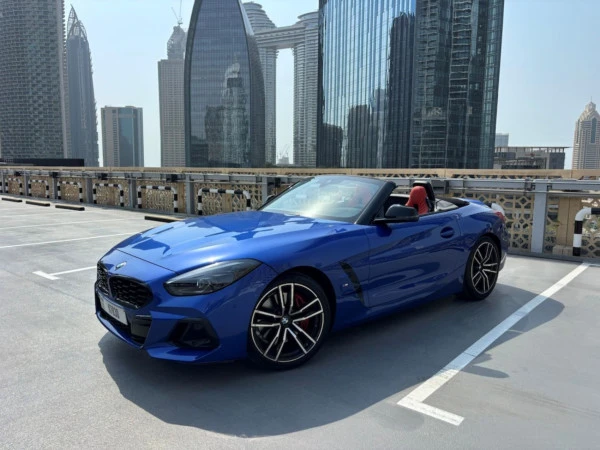  Grey BMW Z4 30I Photo 
