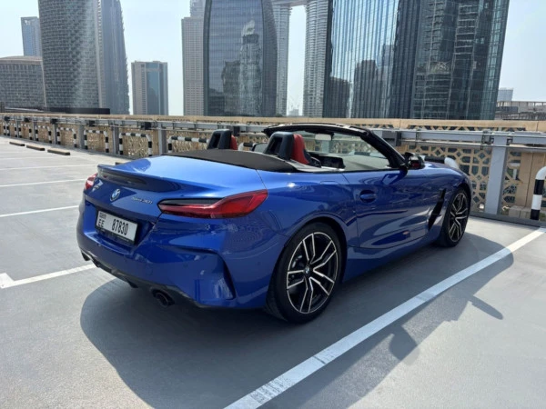  Grey BMW Z4 30I Photo 