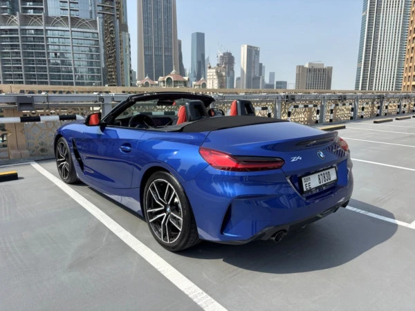  Grey BMW Z4 30I Photo 