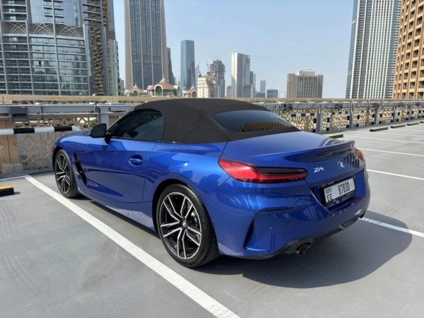  Grey BMW Z4 30I Photo 